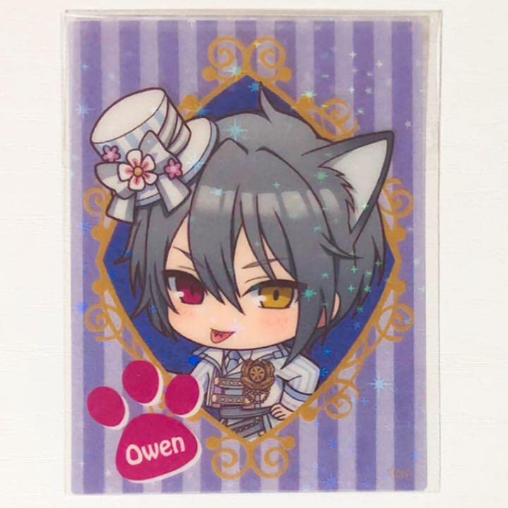 新品★魔法使いの約束【オーエン】ナンジャ★イラストカード Amazon.co.jp: 魔法使いの約束 オーエン ナンジャ イラスト